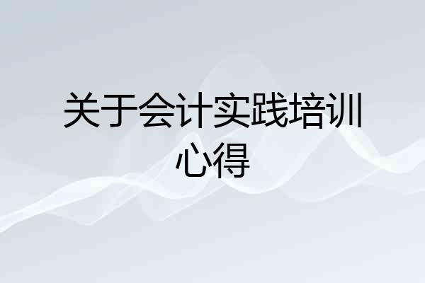 关于会计实践培训心得