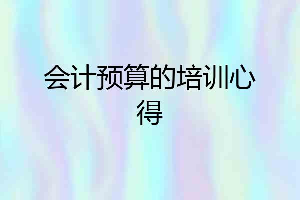 会计预算的培训心得