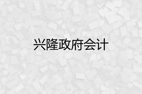 兴隆政府会计