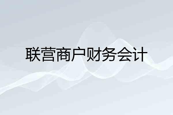 联营商户财务会计