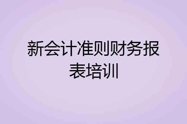 新会计准则财务报表培训