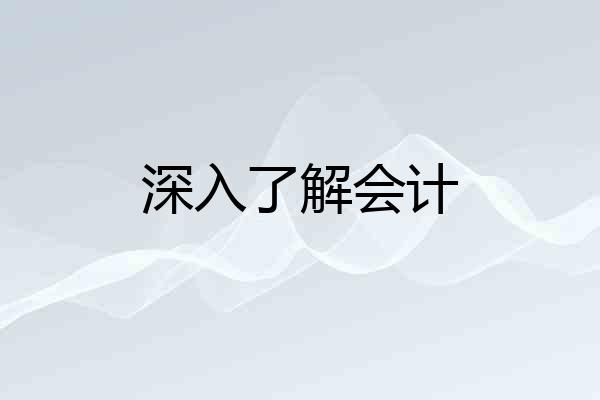 深入了解会计