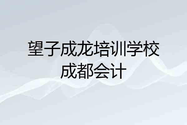 望子成龙培训学校成都会计