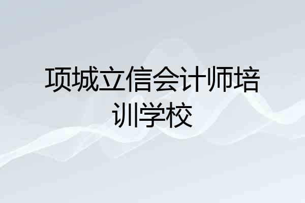 项城立信会计师培训学校