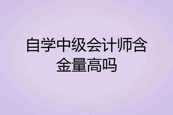 自学中级会计师含金量高吗