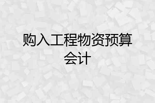 购入工程物资预算会计