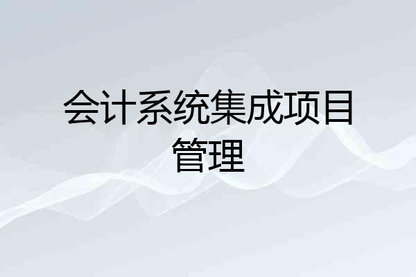 会计系统集成项目管理