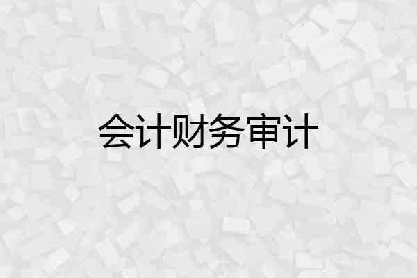 会计财务审计