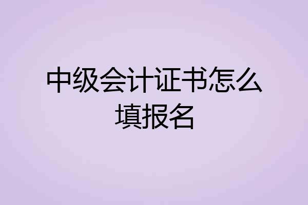 中级会计证书怎么填报名