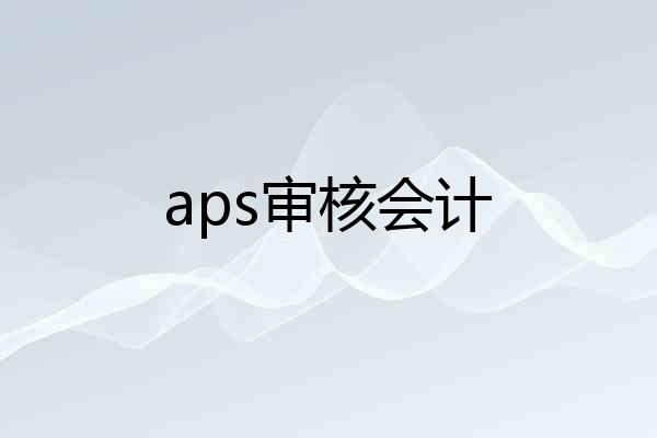 aps审核会计