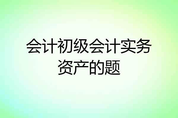 会计初级会计实务资产的题