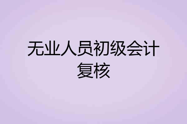 无业人员初级会计复核