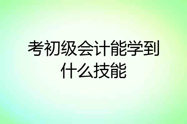 考初级会计能学到什么技能