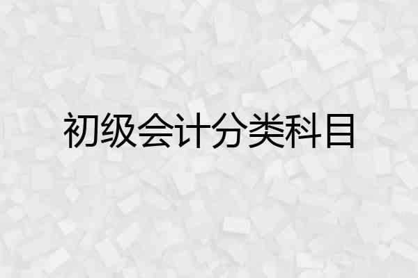 初级会计分类科目