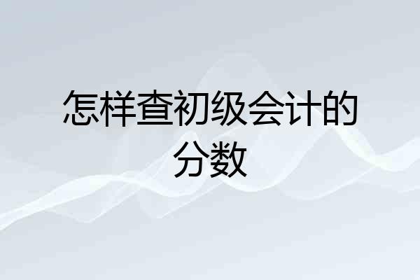 怎样查初级会计的分数
