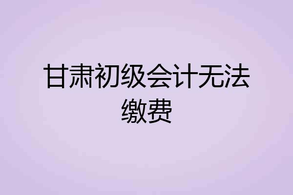 甘肃初级会计无法缴费