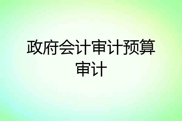 政府会计审计预算审计