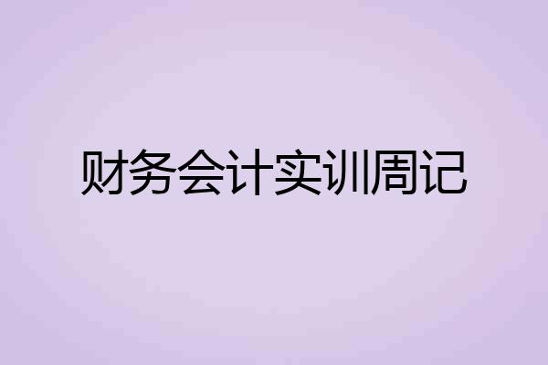 财务会计实训周记