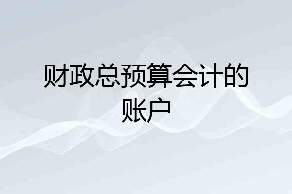 财政总预算会计的账户