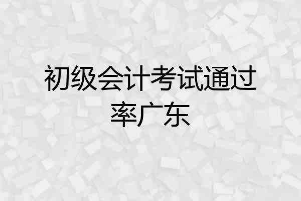 初级会计考试通过率广东