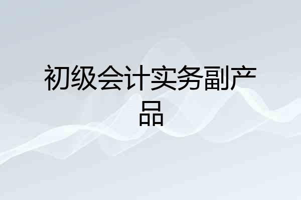 初级会计实务副产品
