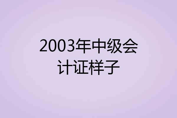 2003年中级会计证样子