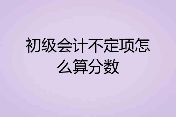 初级会计不定项怎么算分数