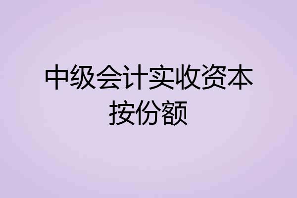 中级会计实收资本按份额