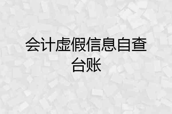 会计虚假信息自查台账