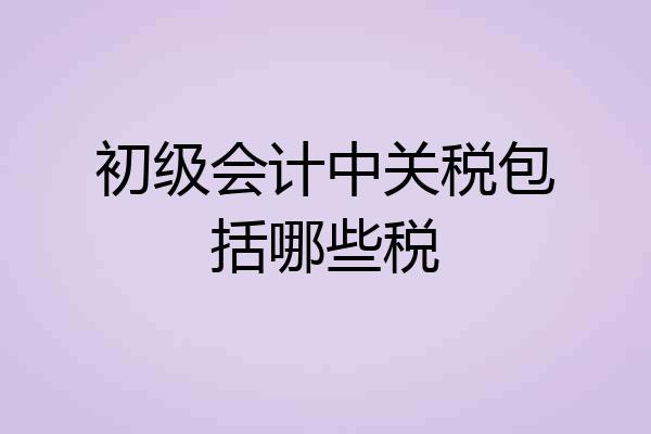 初级会计中关税包括哪些税