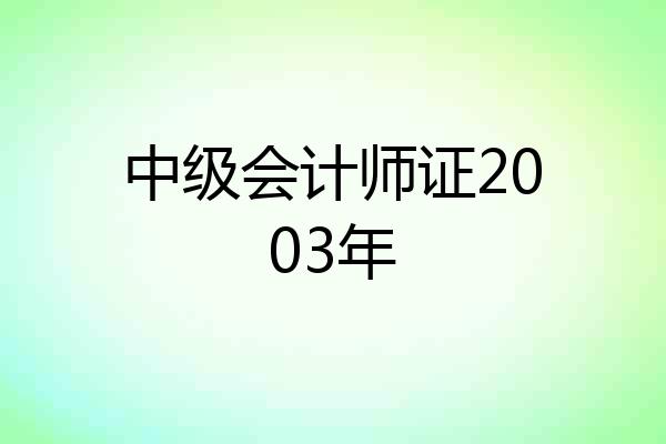 中级会计师证2003年