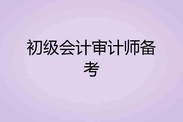 初级会计审计师备考