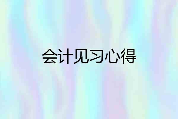 会计见习心得