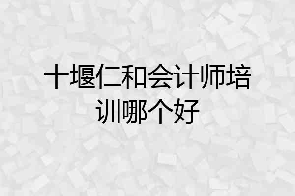 十堰仁和会计师培训哪个好