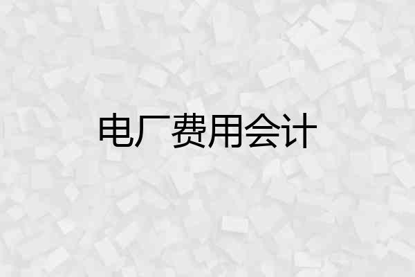 电厂费用会计