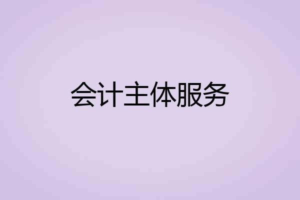 会计主体服务