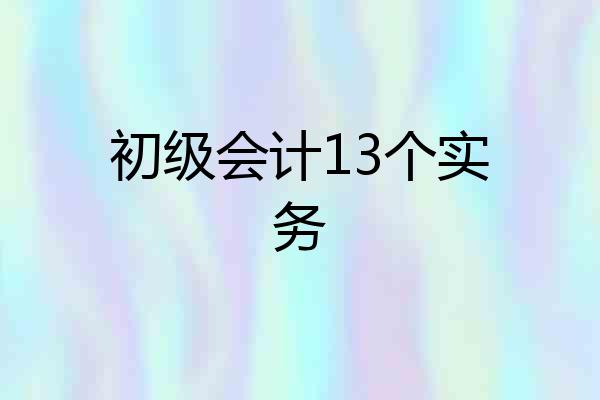 初级会计13个实务