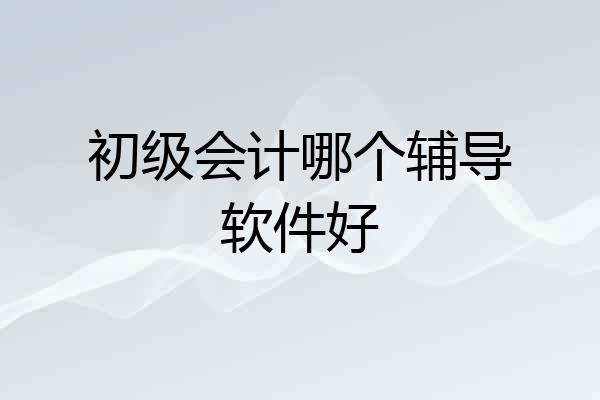 初级会计哪个辅导软件好