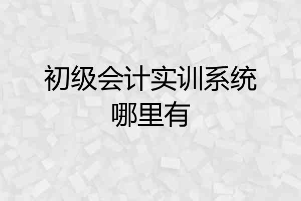 初级会计实训系统哪里有