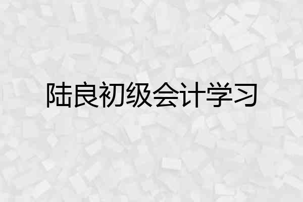 陆良初级会计学习