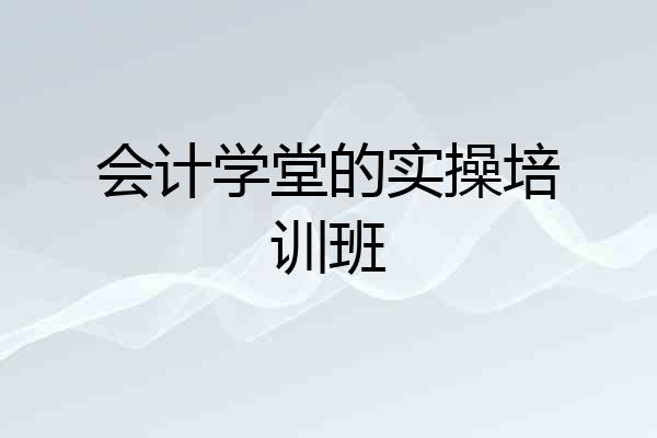 会计学堂的实操培训班