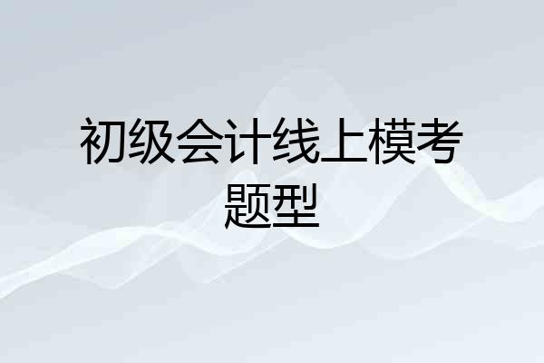 初级会计线上模考题型