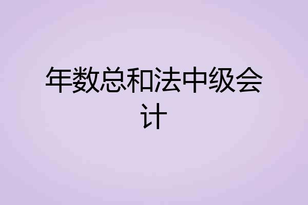 年数总和法中级会计