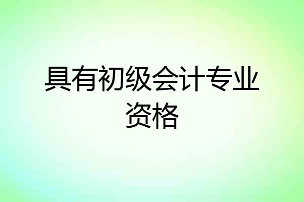 具有初级会计专业资格