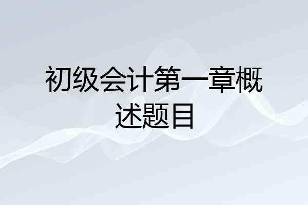 初级会计第一章概述题目