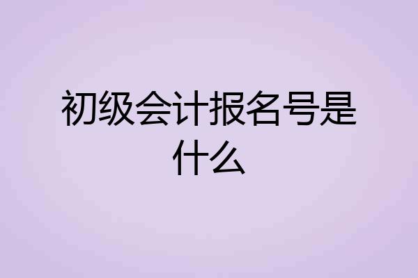 初级会计报名号是什么