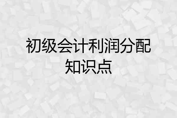 初级会计利润分配知识点