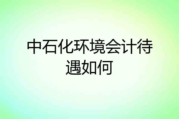 中石化环境会计待遇如何
