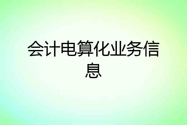 会计电算化业务信息