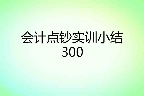 会计点钞实训小结300